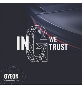 GYEON BANNER IN TESSUTO - IN G WE TRUST