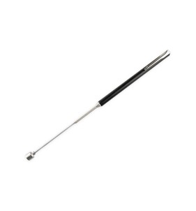 ANTENNA CALAMITA
