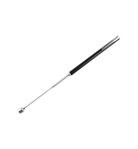 ANTENNA CALAMITA