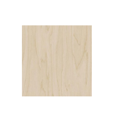 PELLICOLA LEGNO COVERSTYL CT19 COLG PALE BIRCH