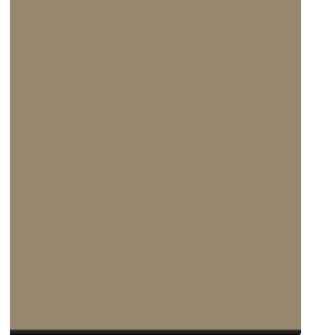 PELLICOLA COVERSTYLE -K4 KHAKI