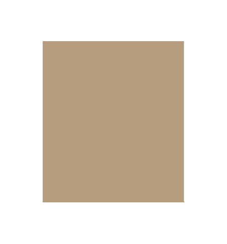 PELLICOLA COVERSTYLE -NE55 CAFFE LATTE