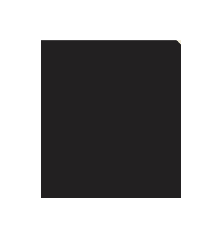 PELLICOLA COVERSTYLE -NE81 CHARCOAL BLACK