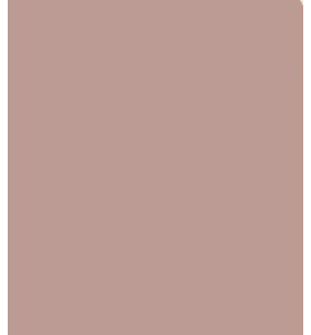 PELLICOLA COVERSTYLE -NF02 ANTIQUE ROSE