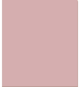 PELLICOLA COVERSTYLE -NF03 BLUSH ROSE
