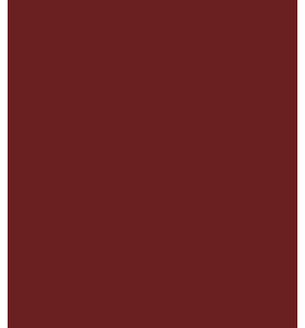 PELLICOLA COVERSTYLE -NF04 BORDEAUX RED