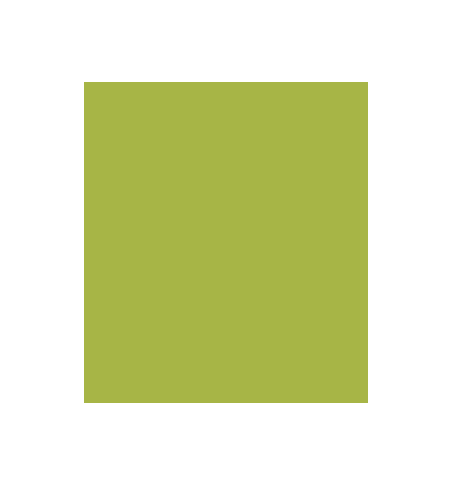 PELLICOLA COVERSTYLE -NF05 GREEN LAWN