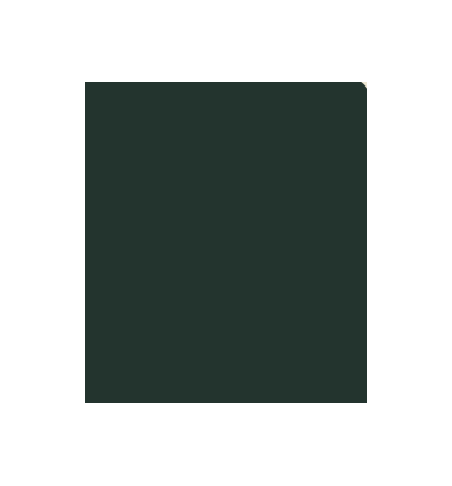 PELLICOLA COVERSTYLE -NF13 DEEP GREEN