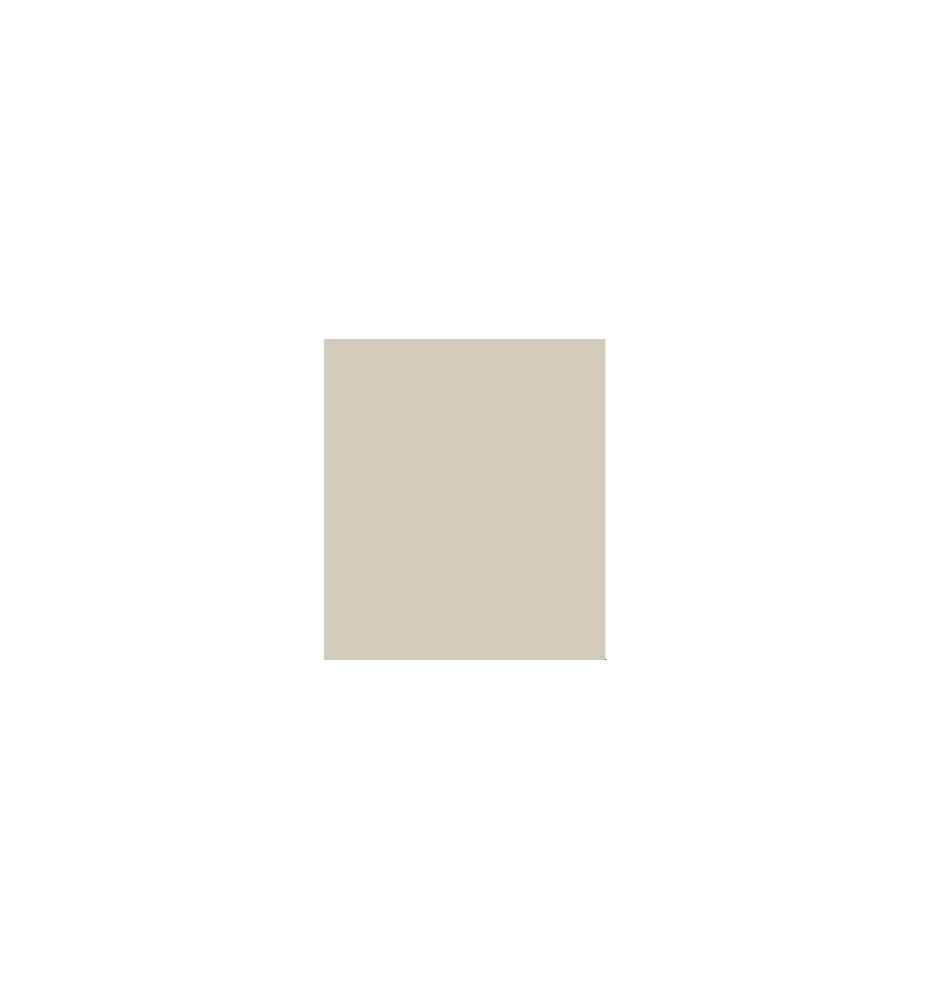 PELLICOLA COVERSTYLE -RM02 PEARL GREY