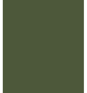 PELLICOLA COVERSTYLE -RM21  ARMY GREEN