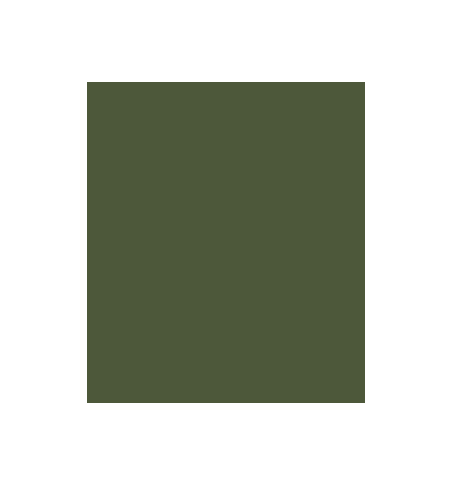 PELLICOLA COVERSTYLE -RM21  ARMY GREEN