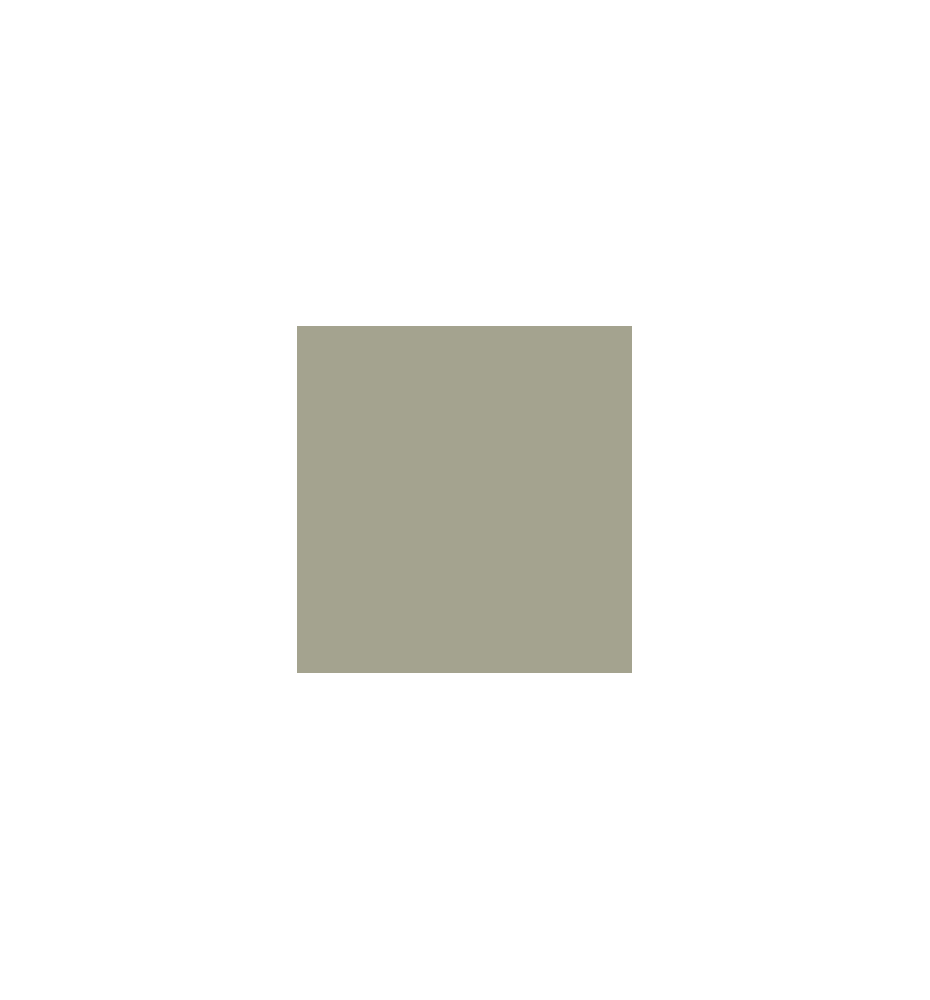 PELLICOLA COVERSTYLE -RM30 PASTEL OLIVE GREEN