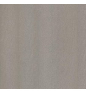 PELLICOLA WRAPPING - NE51 CHAMPAGNE SILVER