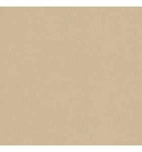 PELLICOLA WRAPPING - NE42 CASHMERE