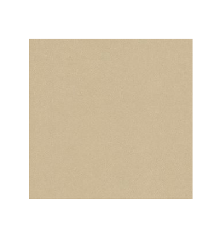 PELLICOLA WRAPPING - NE42 CASHMERE