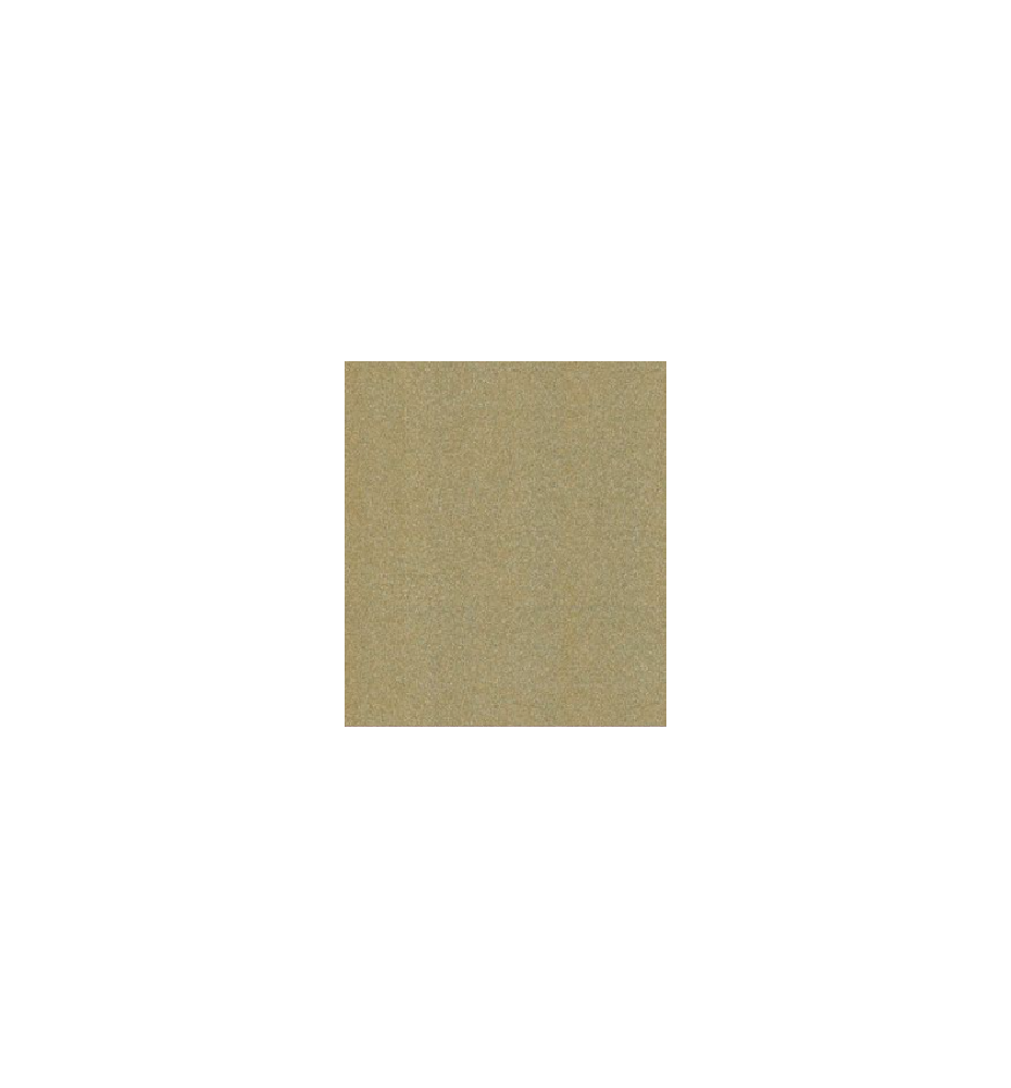 PELLICOLA WRAPPING- R19 CHAMPAGNE